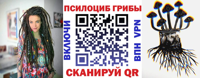 наркотики  Волхов  Галлюциногенные грибы Psilocybe 